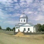 fruit_biserica11