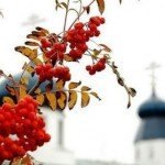 2013_nadejde