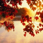 6872152-autumn-wallpaper